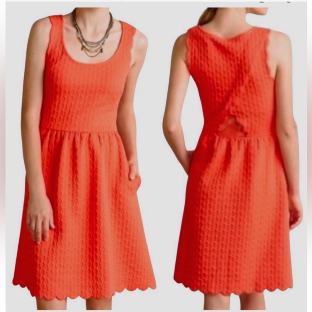 Anthropologie  MAEVE CAYE SCALLOP CORAL ORANGE KNIT DRESS
